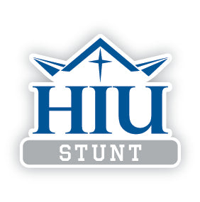 HIU STUNT Decal - M17